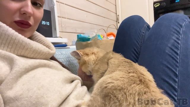 БАРХАННАЯ КОШКА ГЛАША СБЕЖАЛА НОЧЬЮ ОТ КОТОВ / Зевс ловит робот пылесос / Сервал Микки ласкается смотреть онлайн