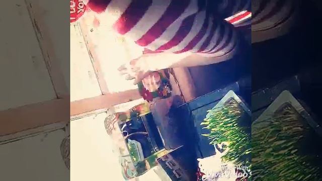 Декор комнаты + идея для лд #2 смотреть онлайн