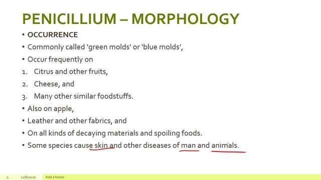 FUNGI – PART-XIV ASCOMYCOTA PENICILLIUM смотреть онлайн