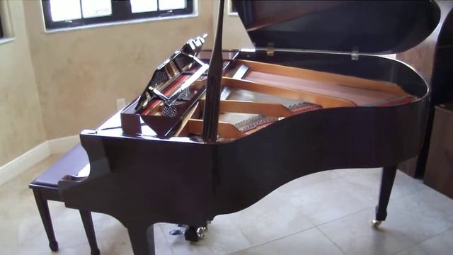Ritmuller 5'3" Mahogany Player Grand Piano w/ PianoDisc IQ by Nick's Piano Fort Myers & Naples FL смотреть онлайн