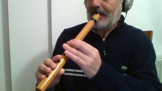 Lugia's song (Pokemon 2000) - Quena flute смотреть онлайн