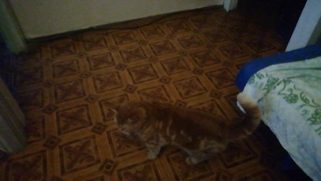 Потеря-потерь)))