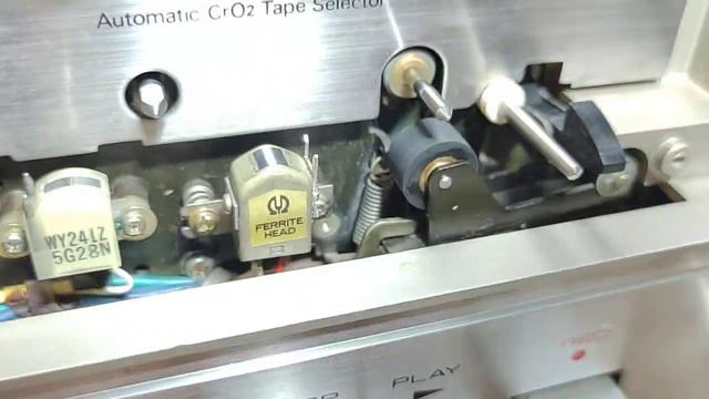 3 марта 2024 г.