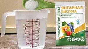 Янтарная кислота для растений