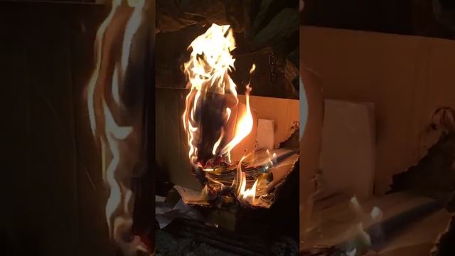 SloMo and fire сжигаем ненужные бумаги в камине смотреть онлайн