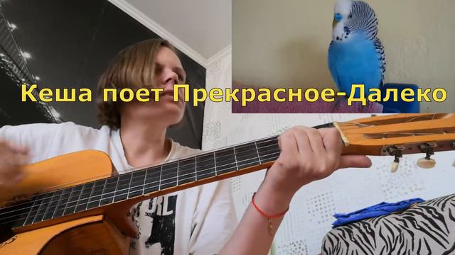 Кеша поет Прекрасное Далеко под гитару смотреть онлайн