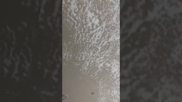 декоративная отделка , бюджетный вариант смотреть онлайн