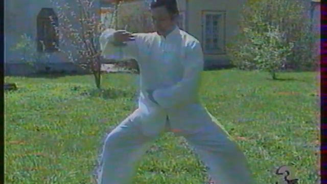 Тайцзицюань Видео урок смотреть онлайн