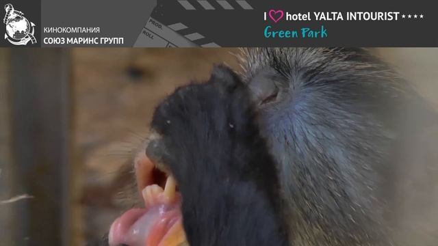 Участница шахматного фестиваля в Отеле Yalta Intourist делится впечатлениями