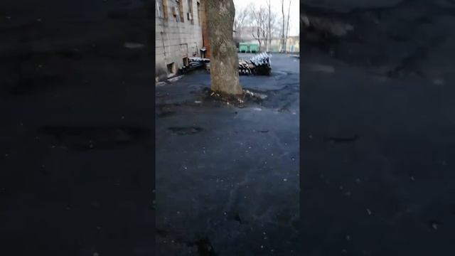 Городской сад !Старые аттракционы ...?☹️????Дерево с огромными колючками , ГЛЕДИЧИЯ .? смотреть онлайн