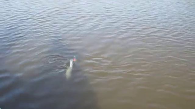 090907 ВАНДОВКА 002 смотреть онлайн