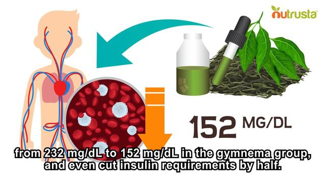 Gymnema Sylvestre - Cure For Diabetes Type 1,2?
