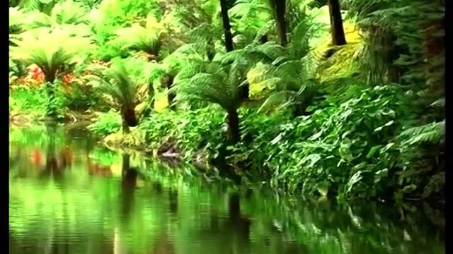 Terra Nostra Park, Furnas, Sao Miguel, Azores, Portugal смотреть онлайн