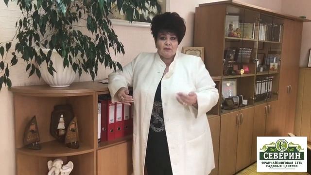 как сделать заказ 2 смотреть онлайн