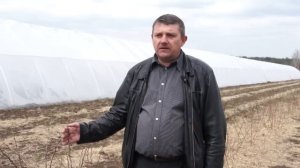 Обработка малины весной