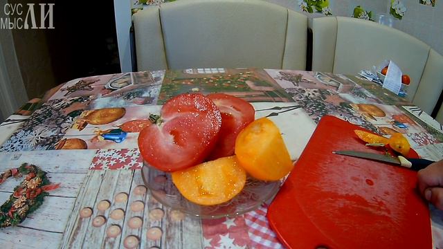 Урожай томатов и кабачков смотреть онлайн