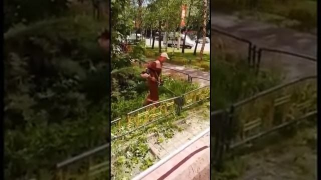 Городской «сенокос» в самом разгаре. смотреть онлайн