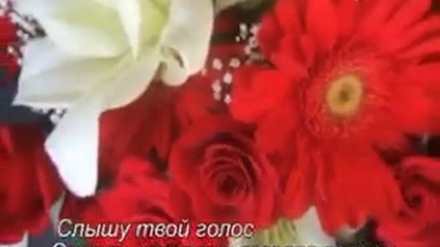 Notre Dame de Paris Вика Цыганова ЖАЛЬ смотреть онлайн