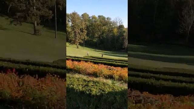 Умань на моноколесе ч3. Моноколесо! смотреть онлайн