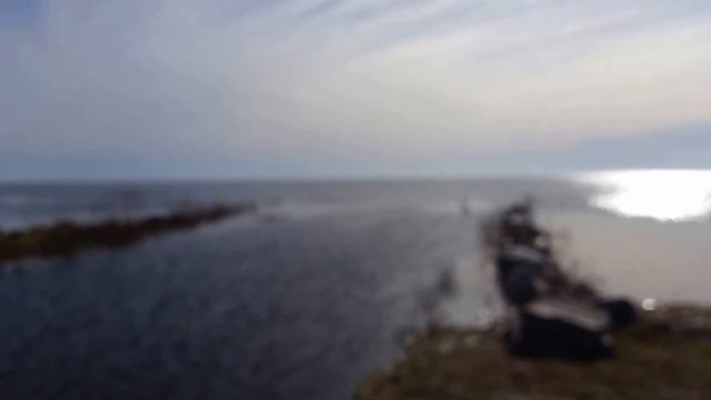 Вчера ведро плотвы. Уклейка в реке, плотва у тросты.Муствеэ- лебединый рай! смотреть онлайн