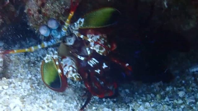 [FHD] 2018 MAR, Phuket, Olympus TG-5 смотреть онлайн