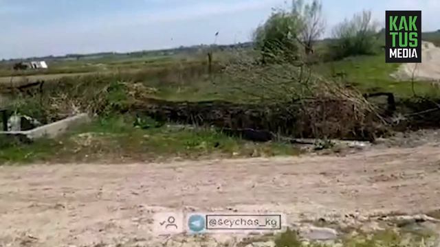 Дохлая рыба смотреть онлайн