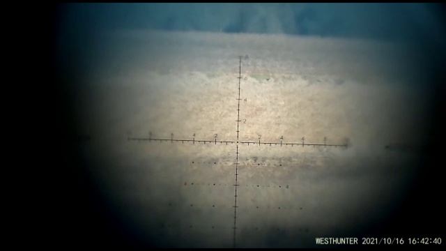 170# Лось-145 , охота на косулю, дистанция 260,420,612 метров.