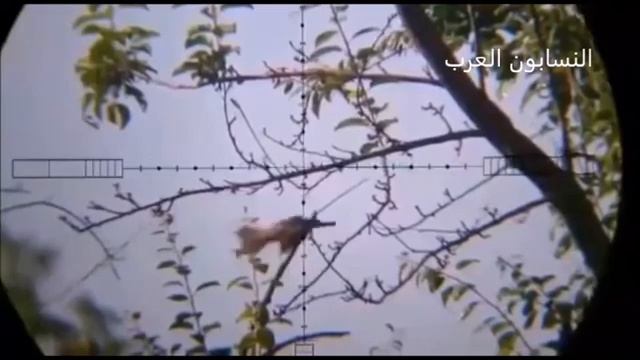 صيد الطيور في مطروح في مصر смотреть онлайн
