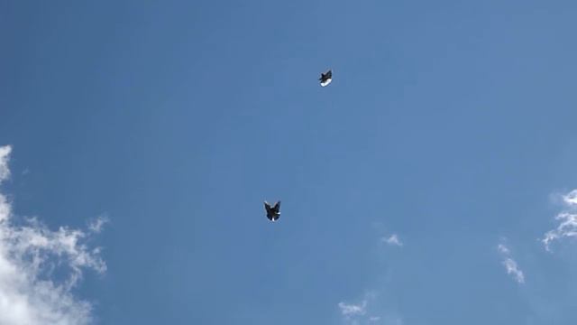 Голуби торцевые смотреть онлайн