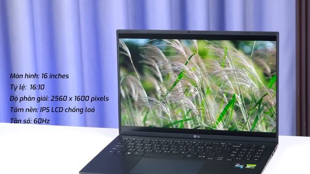 Đánh giá Laptop LG Gram 2023: SIÊU MỎNG NHẸ - HIỆU NĂNG KHỦNG смотреть онлайн