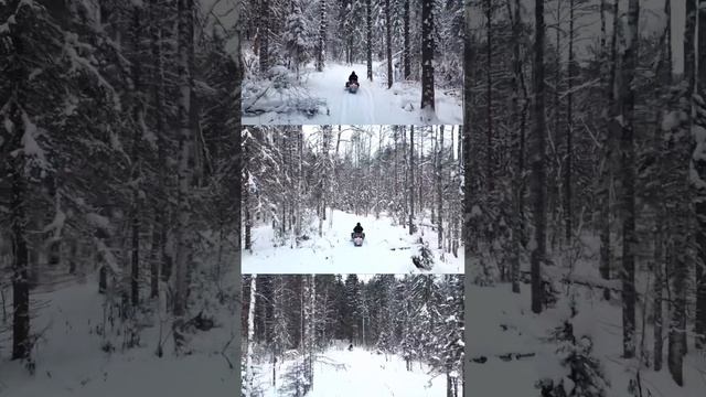 Карелия | Пудож | Снегоход #shorts #пудож смотреть онлайн