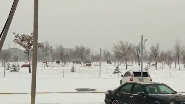 В парке «Ынтымак» разгуливает стадо лошадей смотреть онлайн