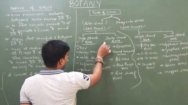 (Lt-01) VIRUS (विषाणु) Part-1, Unit-1 || Botany 1st Paper B.Sc. 1st Year смотреть онлайн