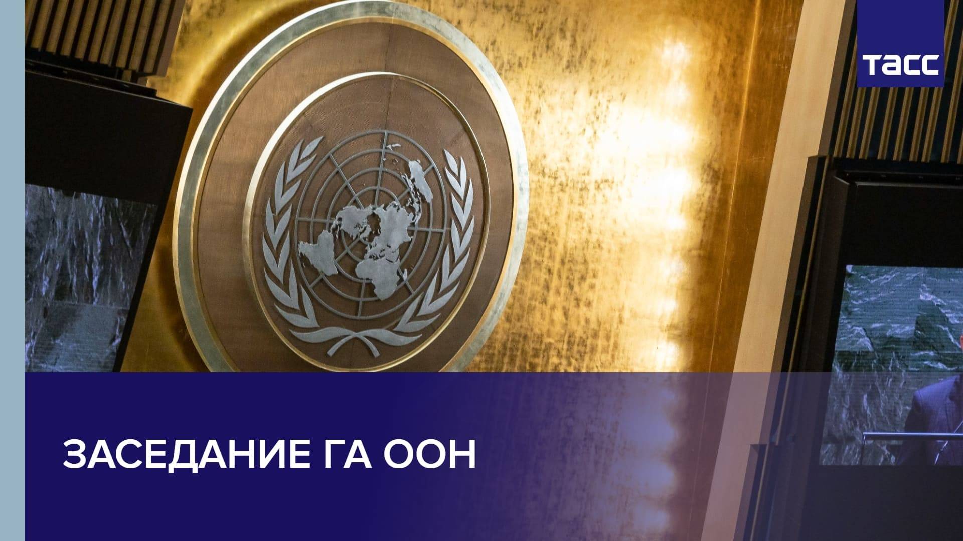 Заседание ГА ООН