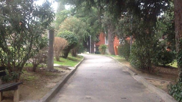 C чего начинается утро? (Словения, Изола)