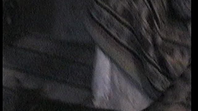 Сметанины 001 29.08.2003 смотреть онлайн