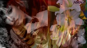 ЧЁРНАЯ ЛИЛИЯ - Стелла Джанни