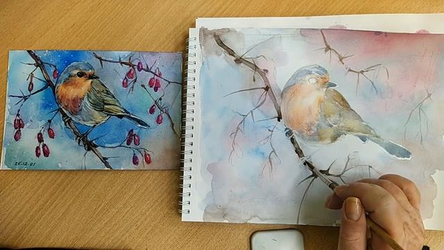 Рисуем малиновку акварелью / watercolour robin bird смотреть онлайн