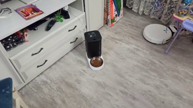 Кормушка для животных с интеграцией в Home Assistant смотреть онлайн
