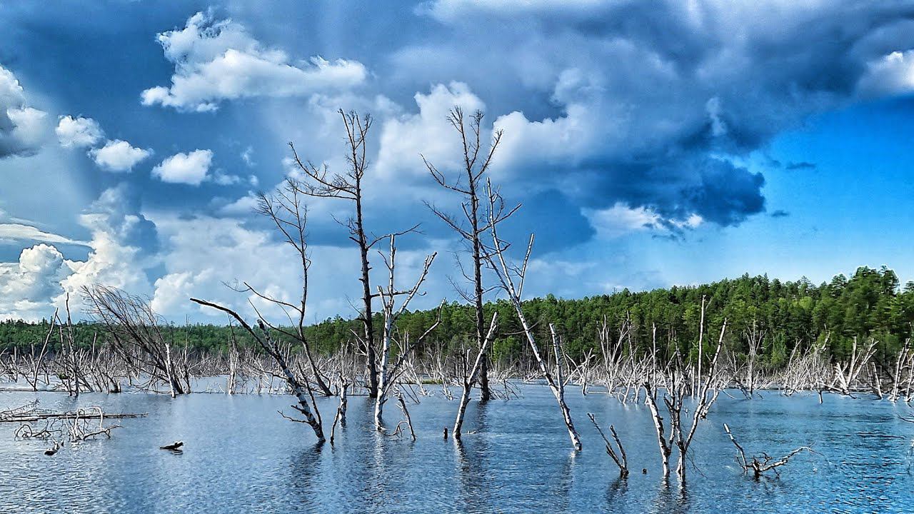 КАЖДЫЙ ЗАБРОС ТРОФЕЙ !!! ДЕСЯТКА ДЕЛАЕТ СВЕЧКИ! часть 2 Рыбалки по Братски 2021 смотреть онлайн