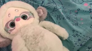 Ещё один лори колори. Обзор