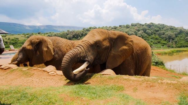 Wonders of Universe смотреть онлайн