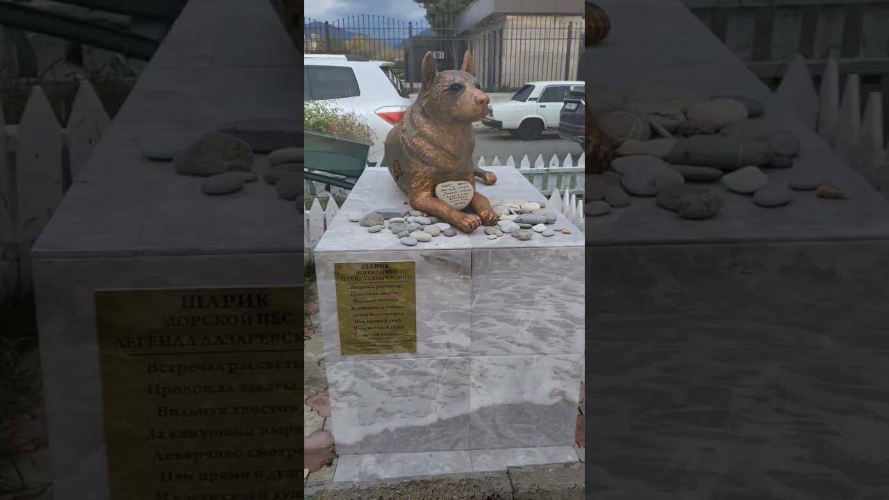 19.11.22 г. Погода Лазаревское #shorts #лазаревское2022 #погодалазаревское #погодасочи #сочисегодня смотреть онлайн