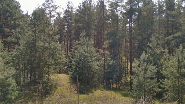 14 мая народный праздник Еремеев день. Что нельзя делать. Именинники дня. Народные приметы. смотреть онлайн