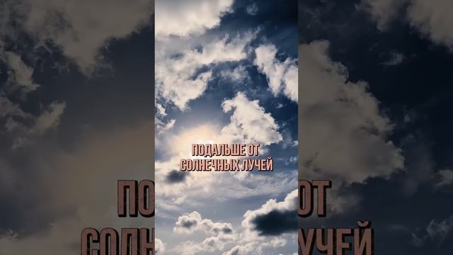 4 правила хранения мёда #здоровье #мёд #хранение смотреть онлайн