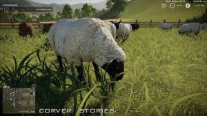 Farming Simulator 19. Гайд по овцам