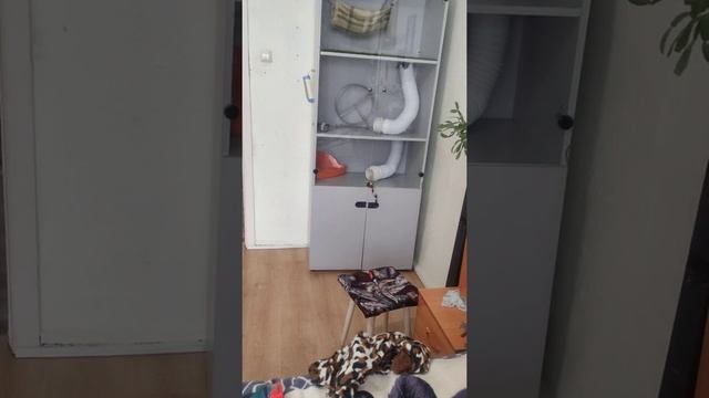 вольер для хорька своими руками смотреть онлайн