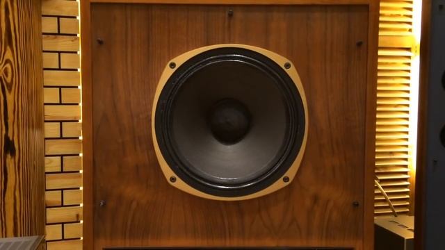 Tannoy Super Red Monitor 15X 4 Lỗ