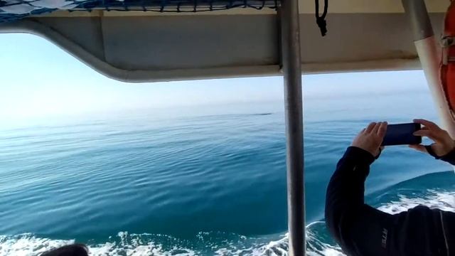 DIVING IS FUN - APRIL 2021