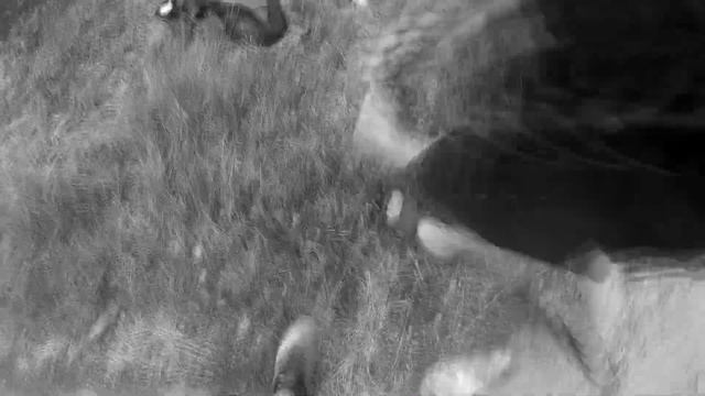 ДИКИЙ STUNT НА СКУТЕРАХ | Конфиг Yamaha Jog / Suzuki Lets | FZM |